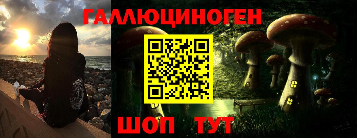 Скопин  Галлюциногенные грибы Psilocybine cubensis  Вход с VPN 