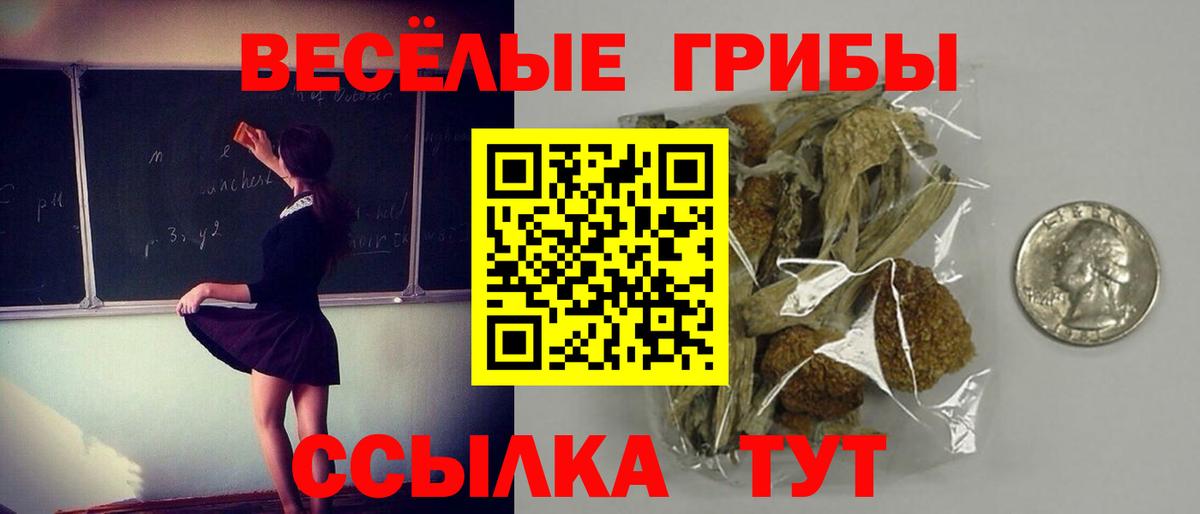 Псилоцибиновые грибы Cubensis Скопин